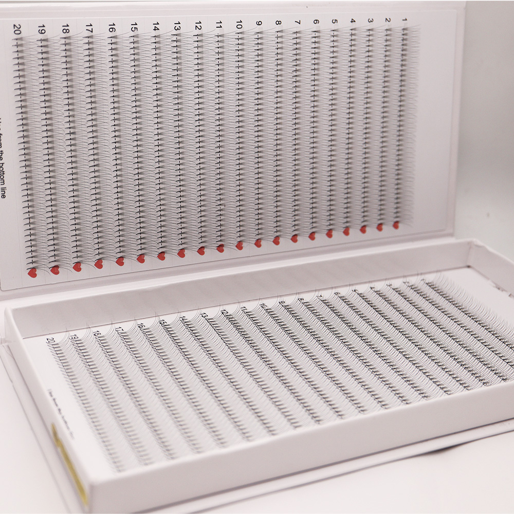 40 lignes 2D 1600 ventilateurs - Eyelash Extension Russian avis et prix